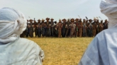 gerewol-lineup-niger