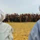 gerewol-lineup-niger