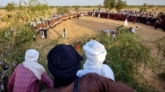 sebiba-festival-aerial