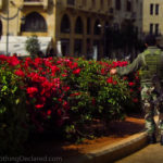 lebano, beirut soldier flowers
