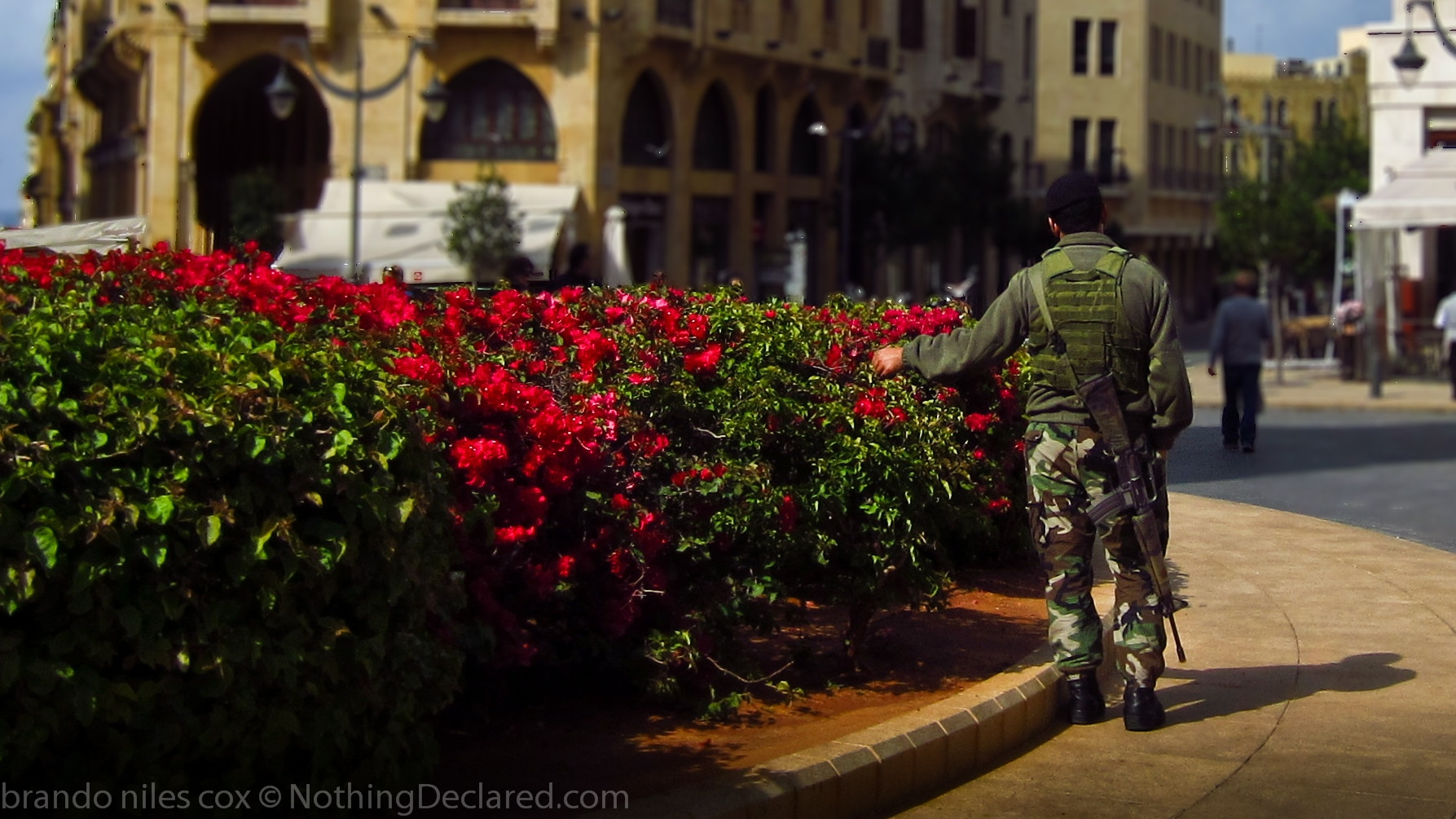 lebano, beirut soldier flowers