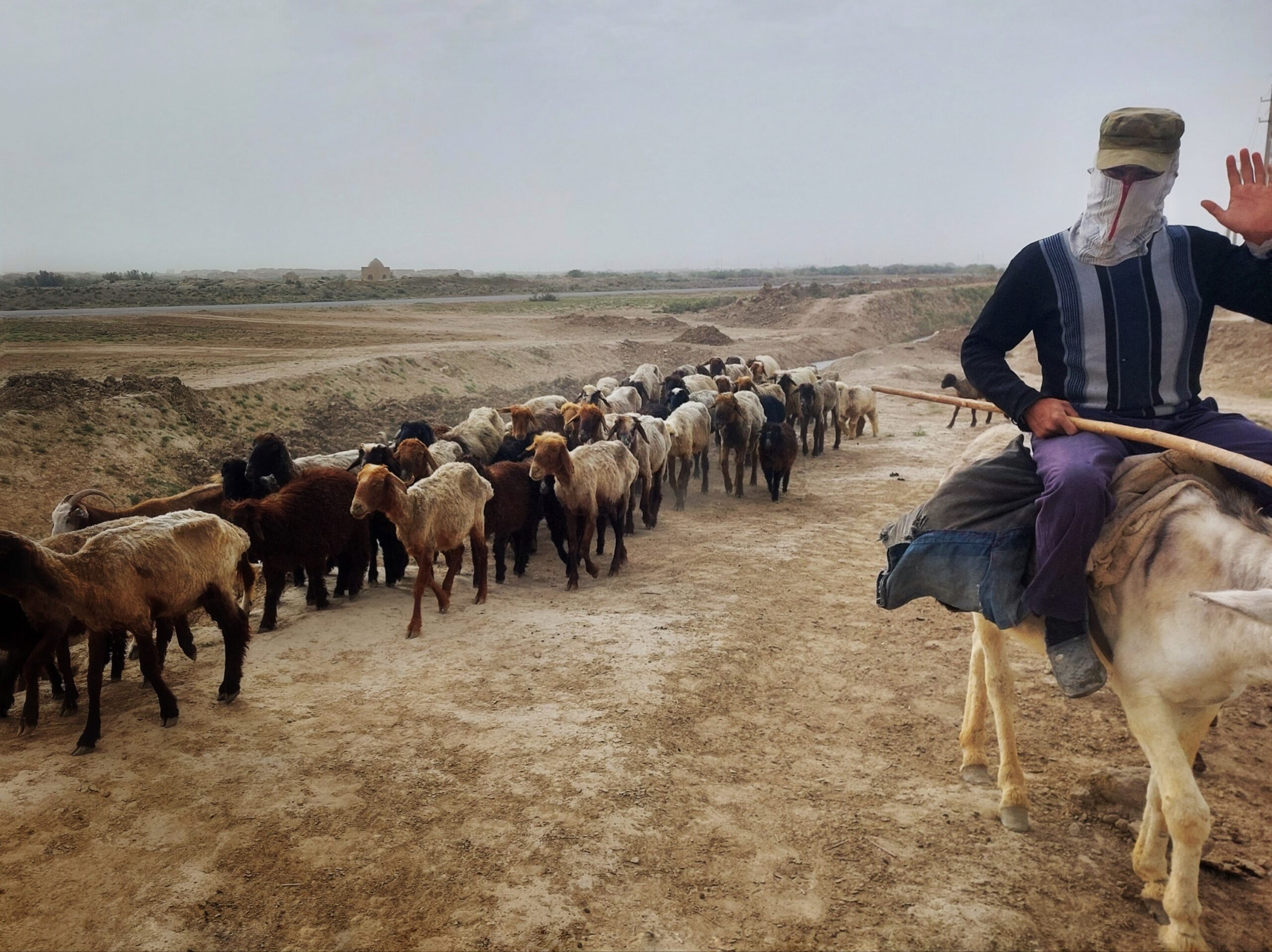 shepherd - Mary, Turkmenistan