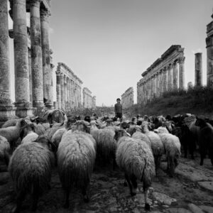Shepherds of Apamea I