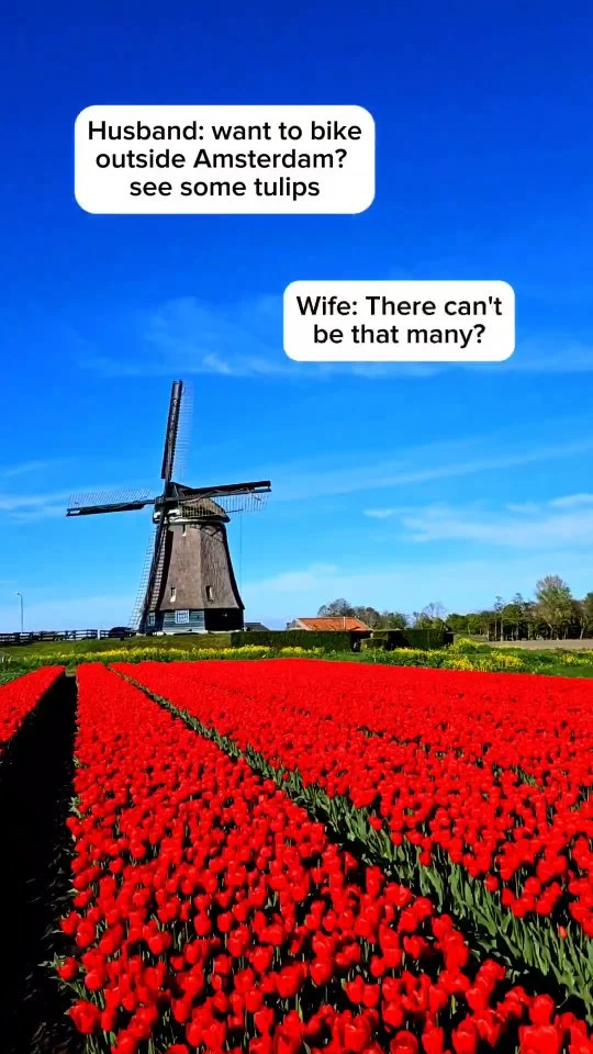 Flowers for Mothers Day?  The Netherlands has you covered. 
Did you know it's the World's largest exporter? 🌼 🌸 
Accounting for around 40-50% of the global trade!

Follow us for more hyperlapses. These took 20+ hrs to film... outside the fields on paths surrounding them.

Also. I have a very patient wife 😌 

#timelapse #everycountryintheworld #Amsterdam #amstergram #flowerphotography #travel #beautifuldestinations #nl #flowers